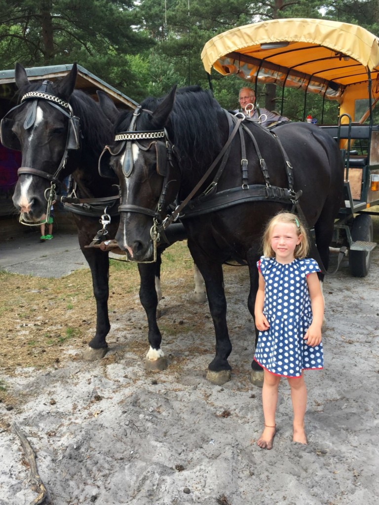 Familotel Landhaus Averbeck Familienurlaub Reisen mit Kindern Niedersachsen Pferdekutsche