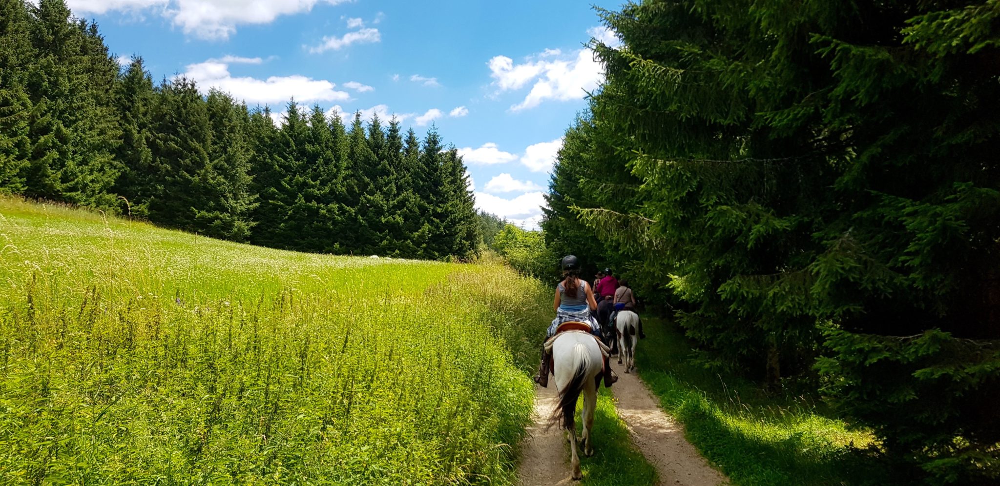 reiten, Pferde Österreich pilgern Mühlviertel Alm Berge
