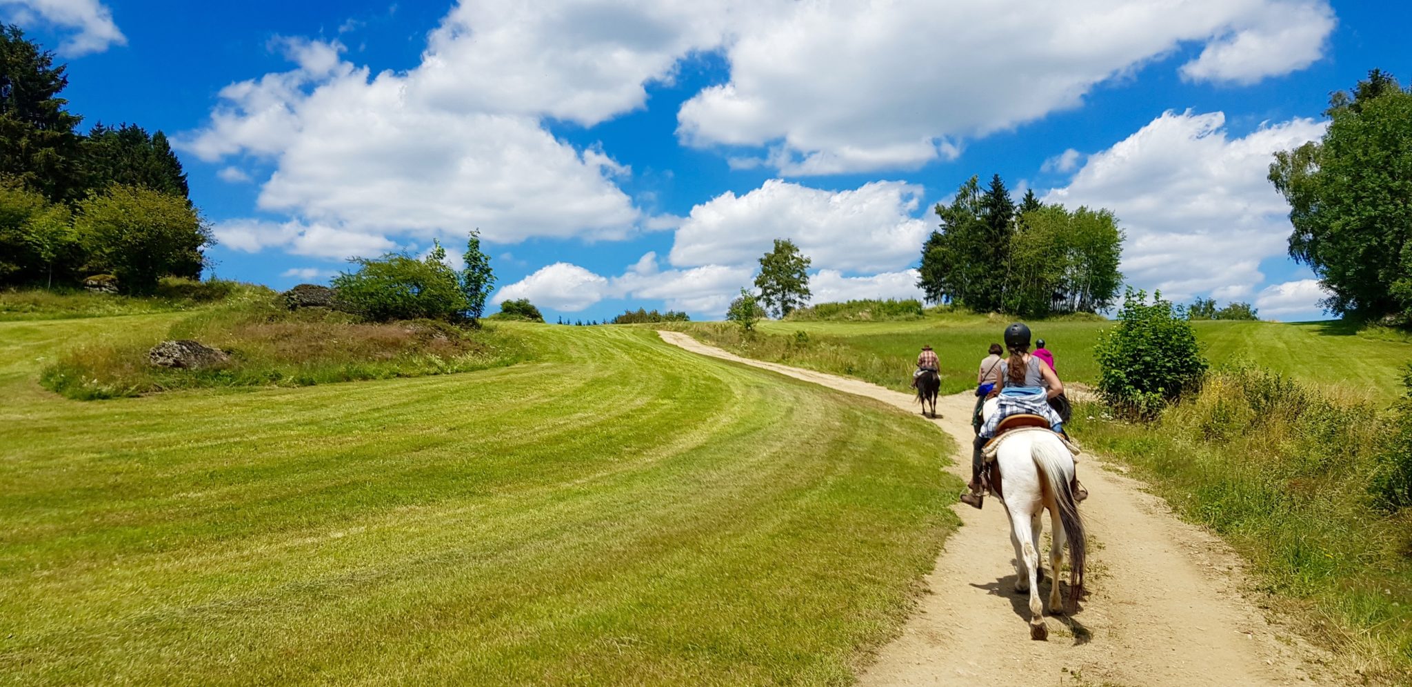 reiten, Pferde Österreich pilgern Mühlviertel Alm Berge