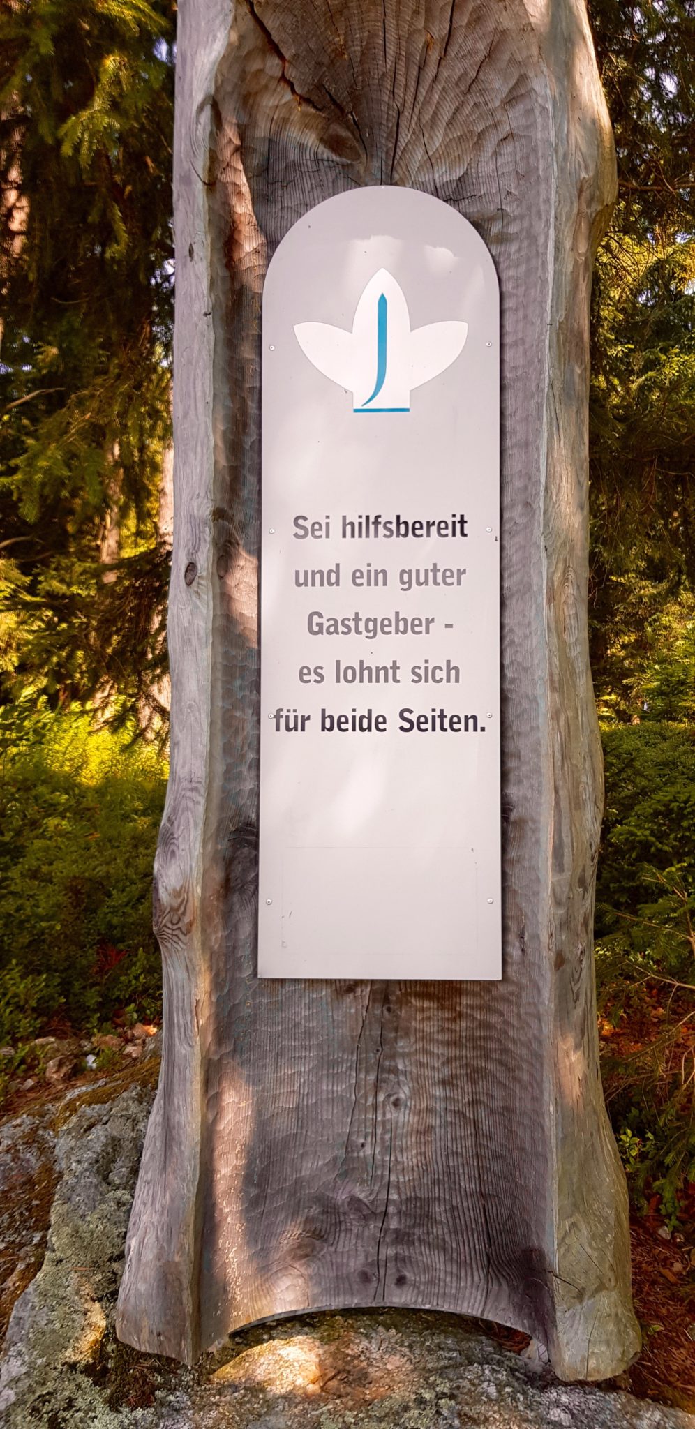 reiten, Pferde Österreich pilgern Mühlviertel Alm Berge