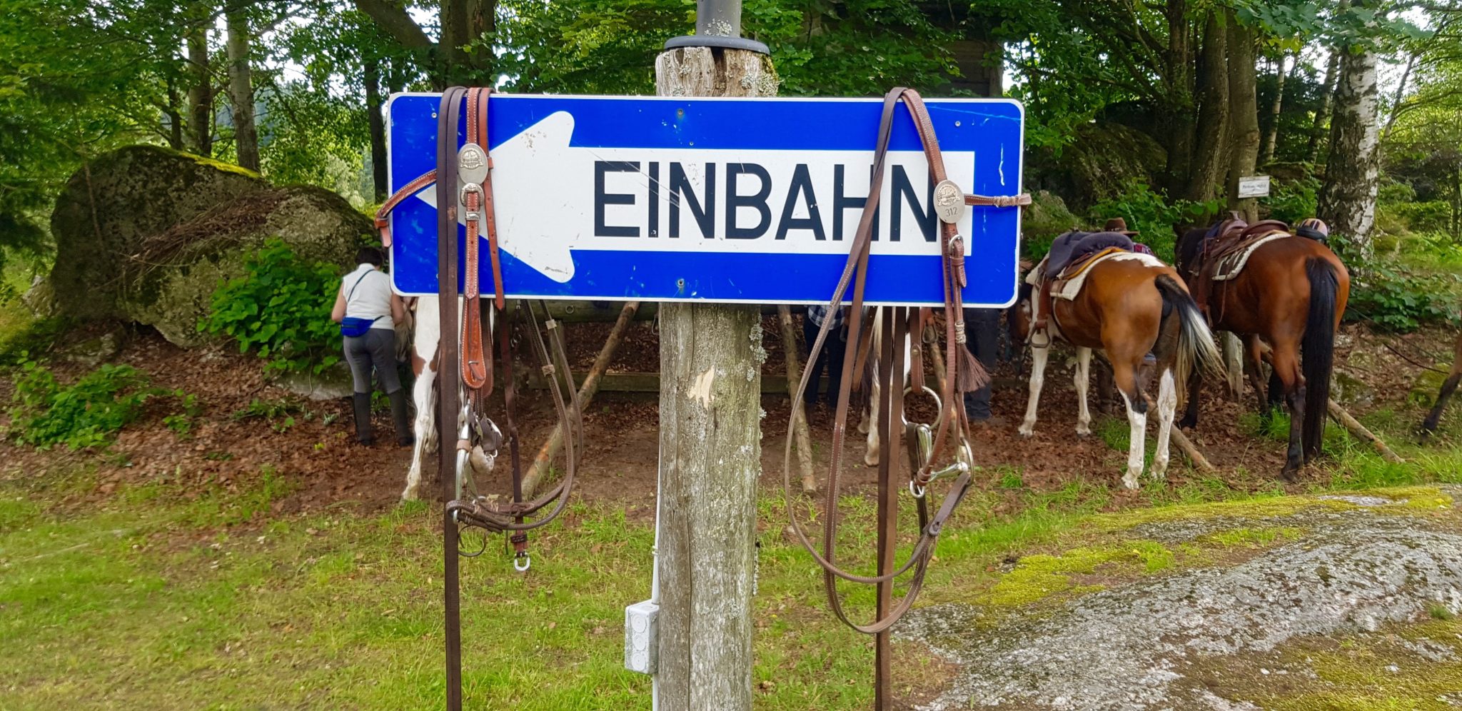 reiten, Pferde Österreich pilgern Mühlviertel Alm Berge