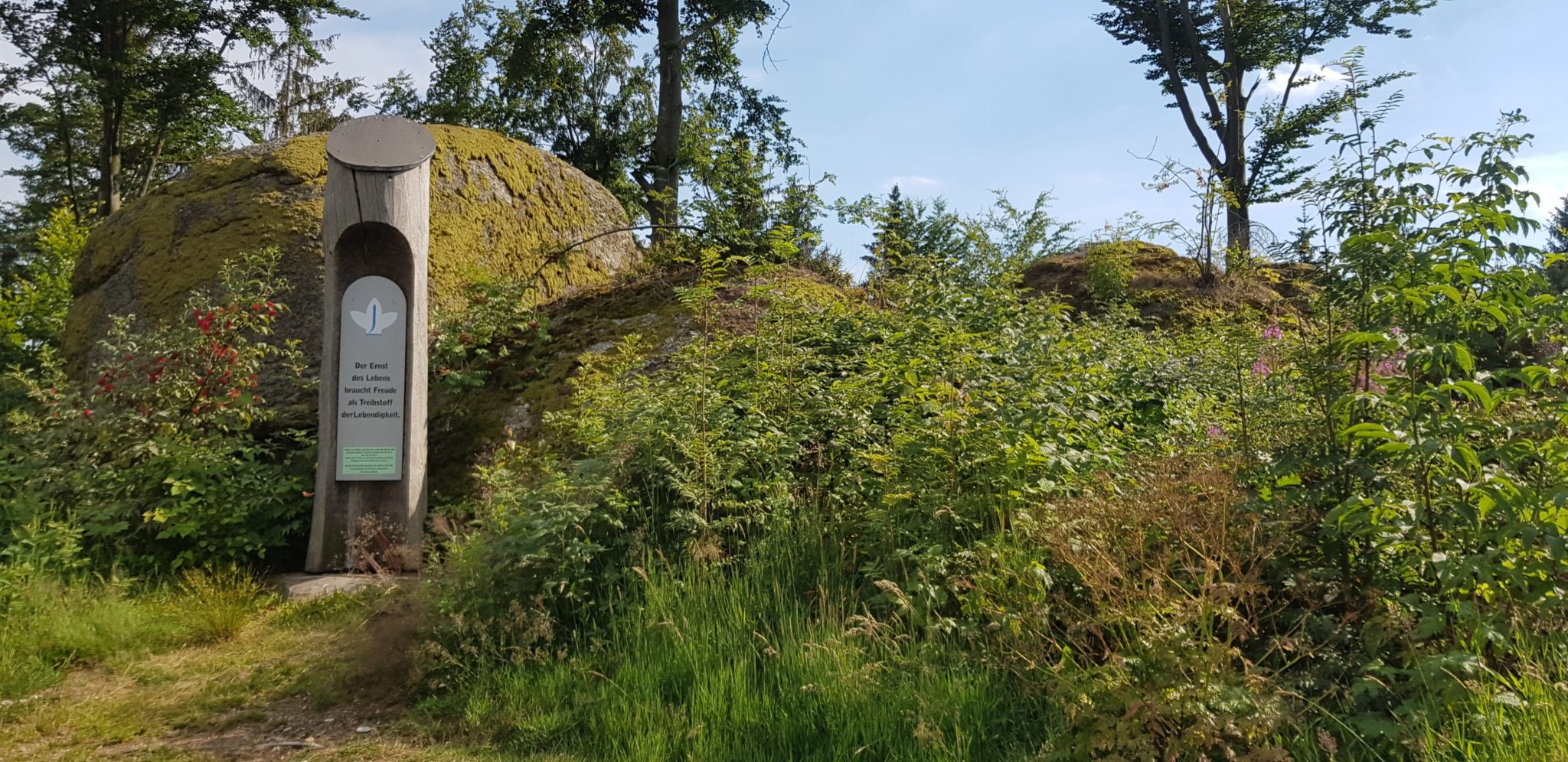 reiten, Pferde Österreich pilgern Mühlviertel Alm Berge