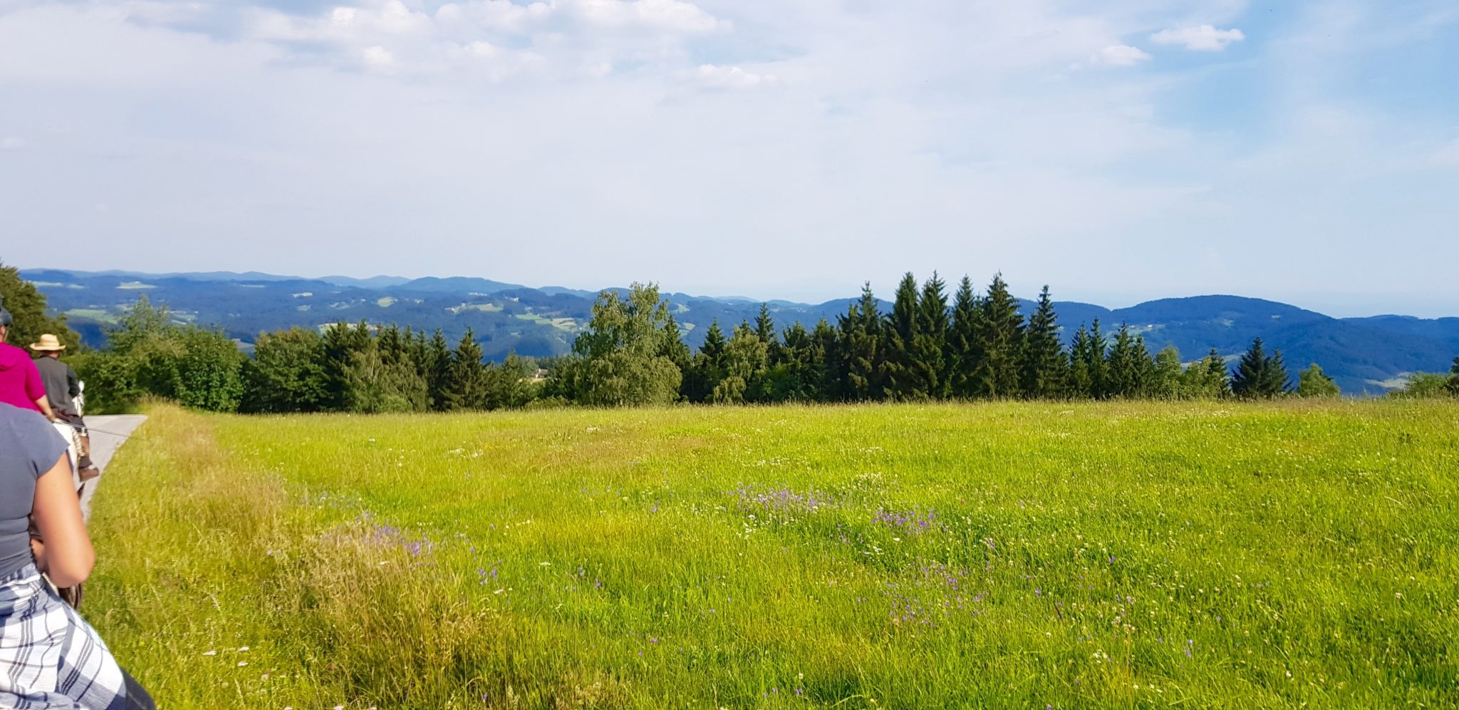 reiten, Pferde Österreich pilgern Mühlviertel Alm Berge