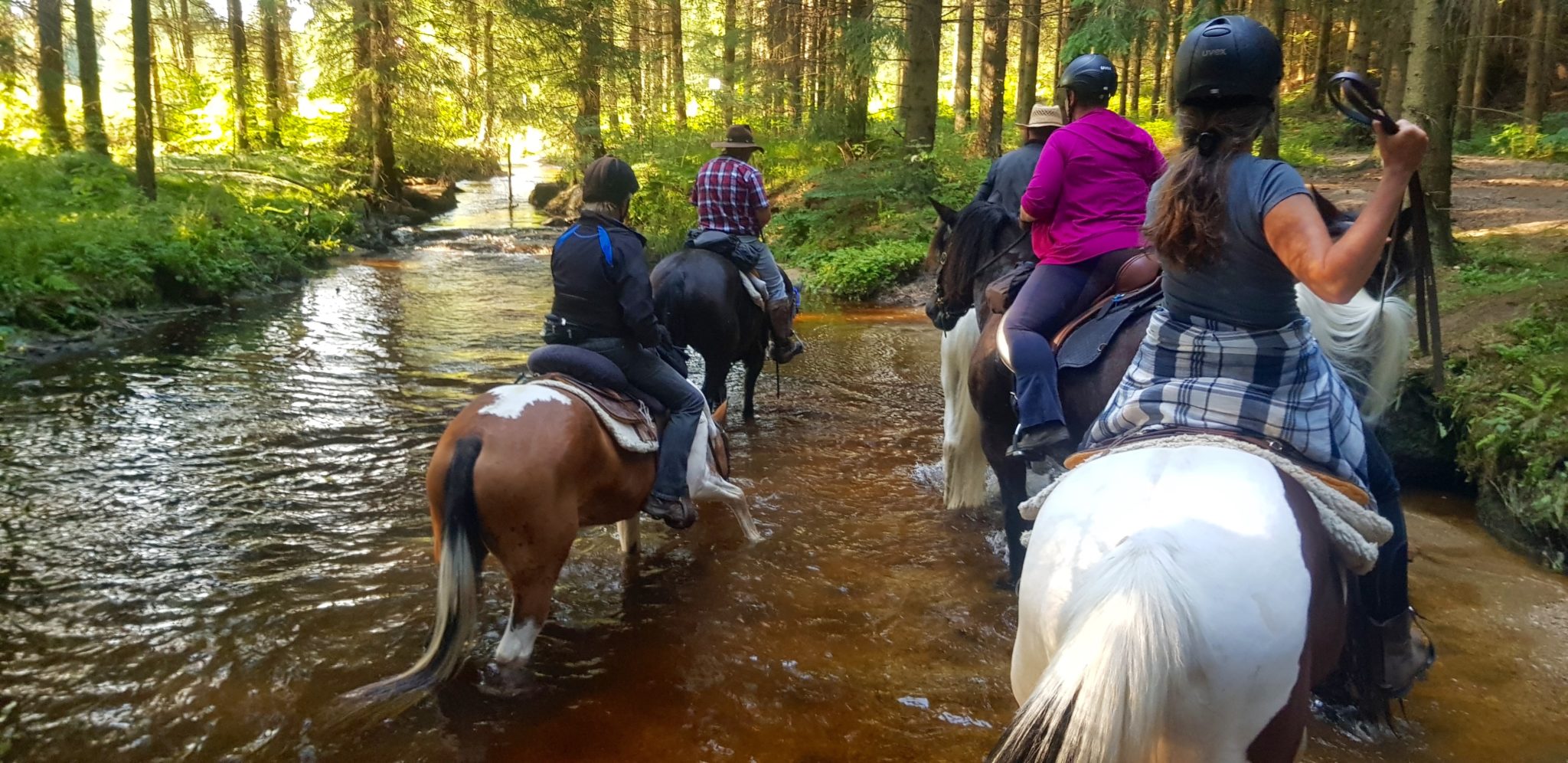 reiten, Pferde Österreich pilgern Mühlviertel Alm Berge