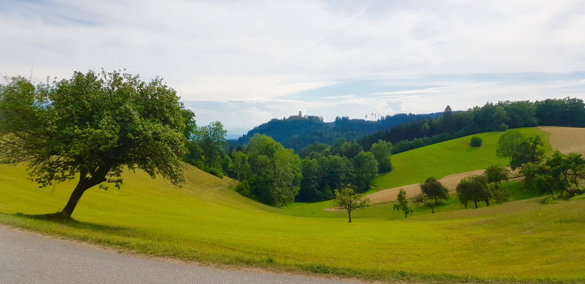 reiten, Pferde Österreich pilgern Mühlviertel Alm Berge