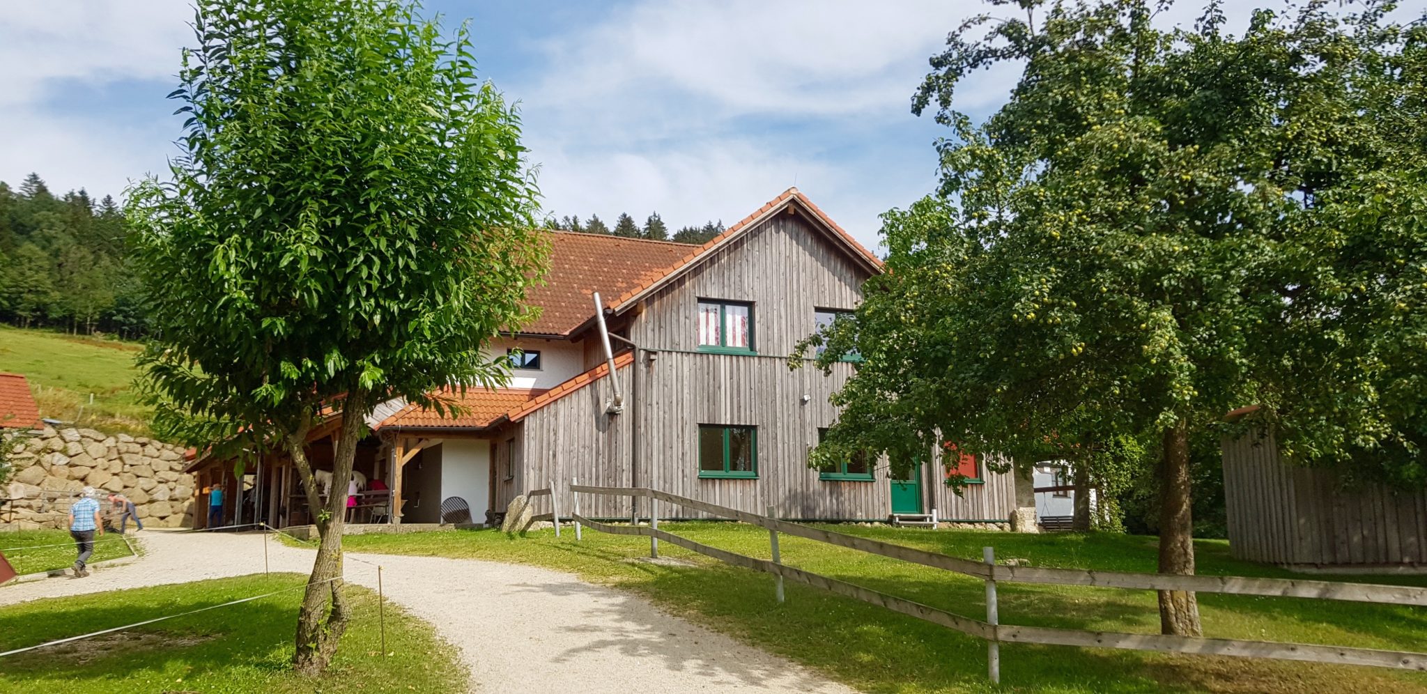 reiten, Pferde Österreich pilgern Mühlviertel Alm Berge