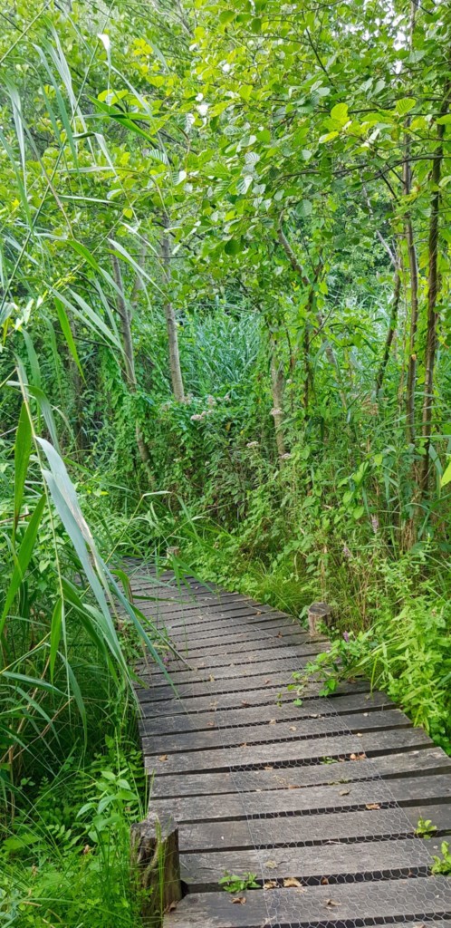 Luxemburg Familienurlaub biodiversum