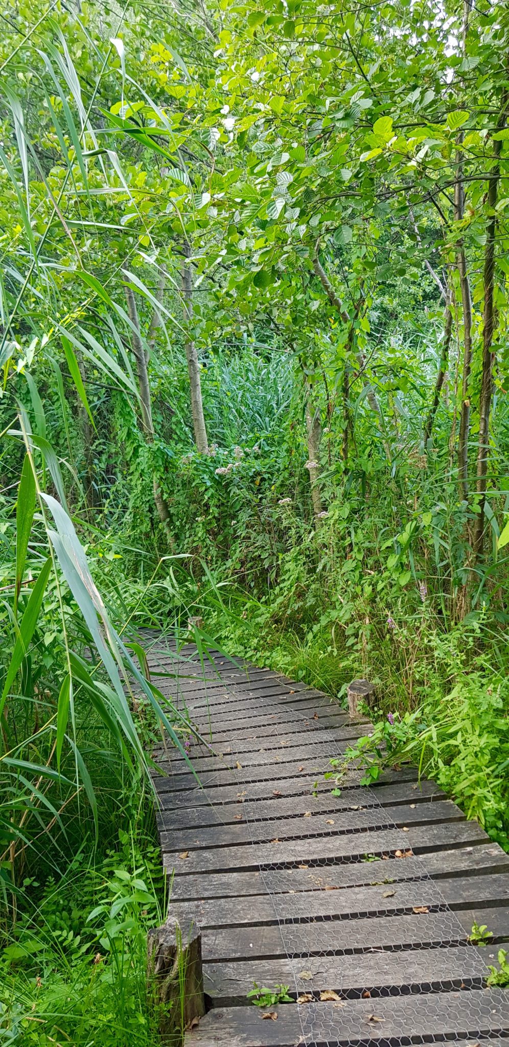 Luxemburg Familienurlaub biodiversum