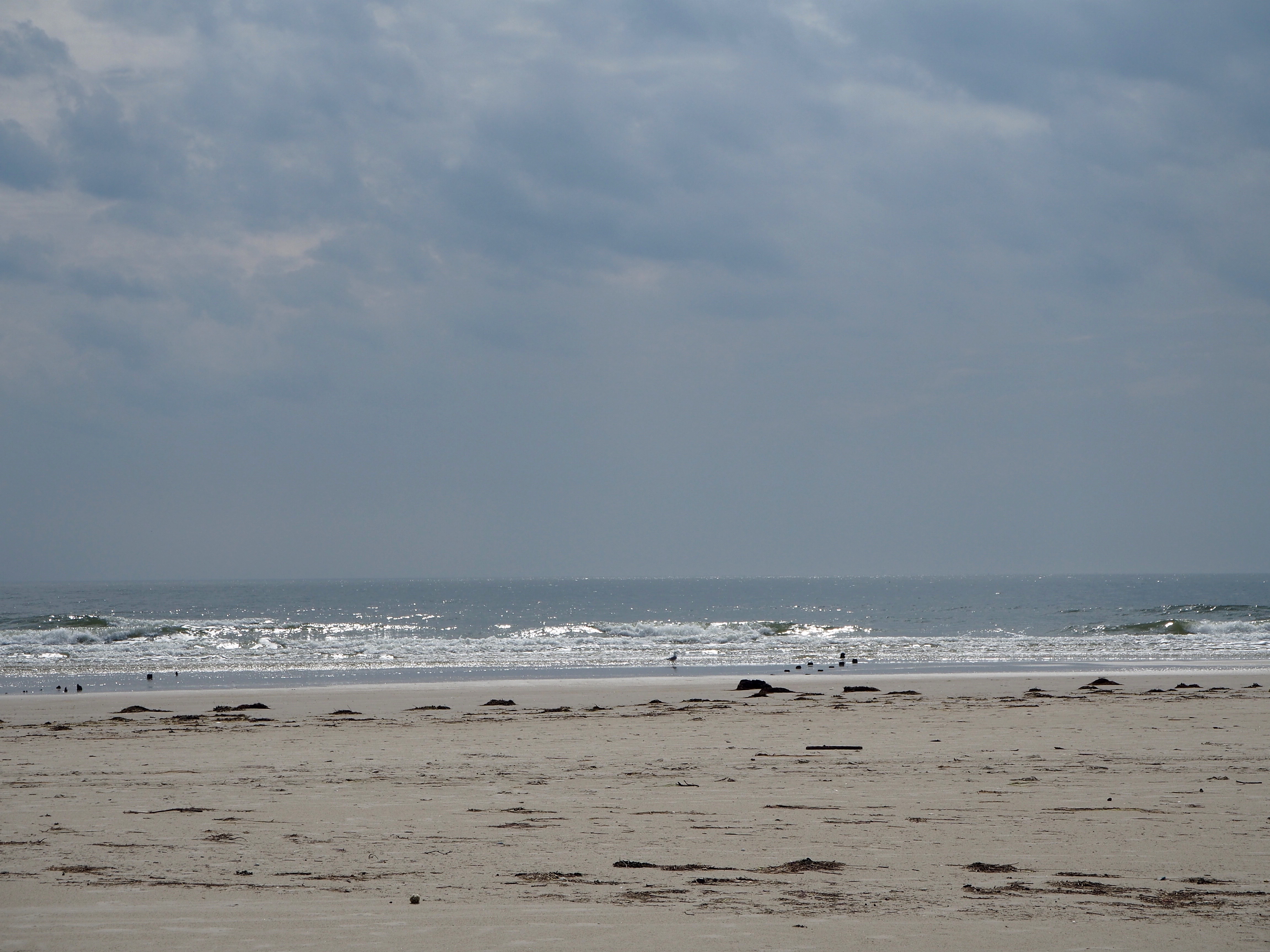 Amrum Nordsee Insel Urlaub Strand