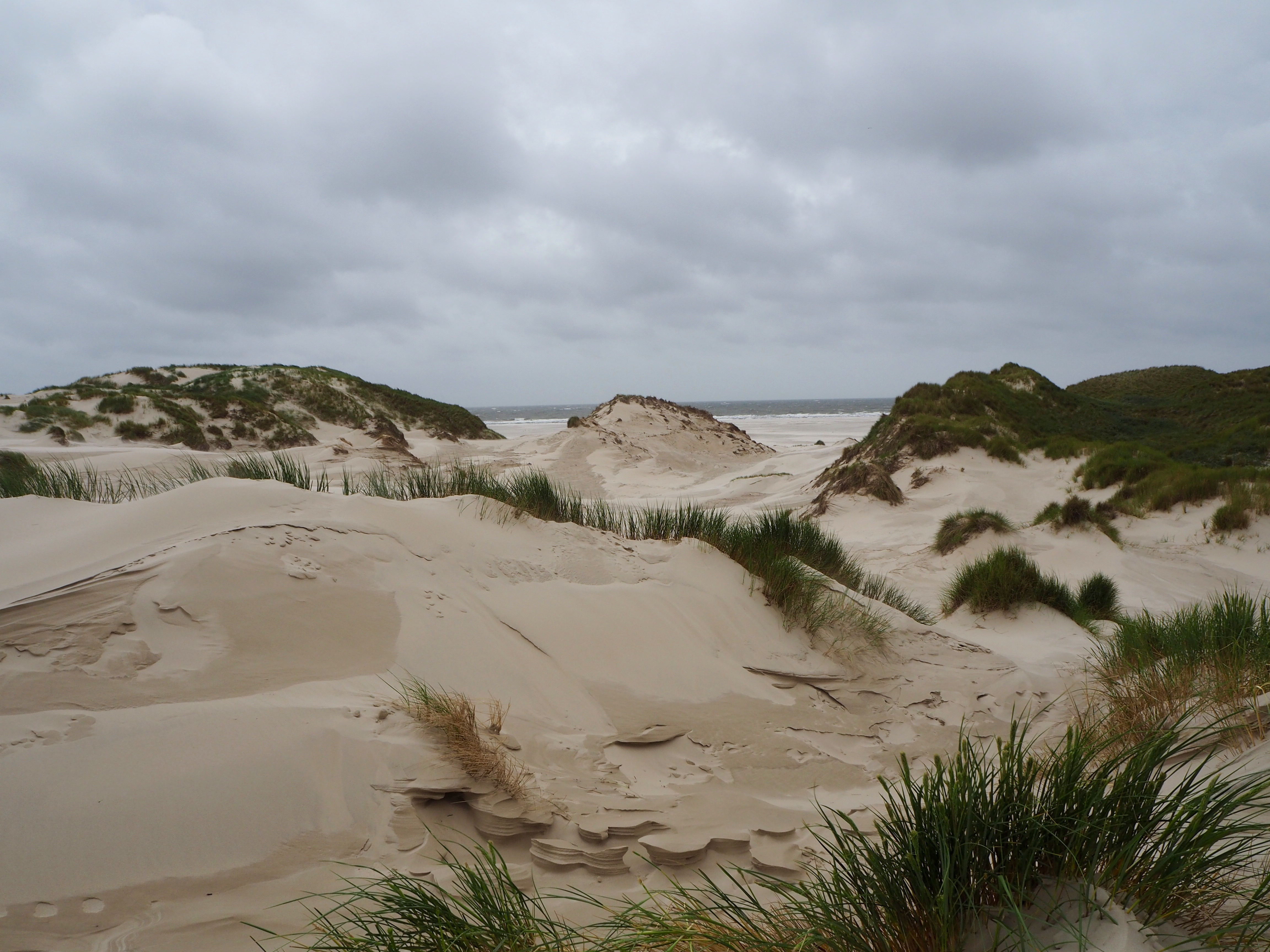 Amrum Nordsee Insel Urlaub Strand