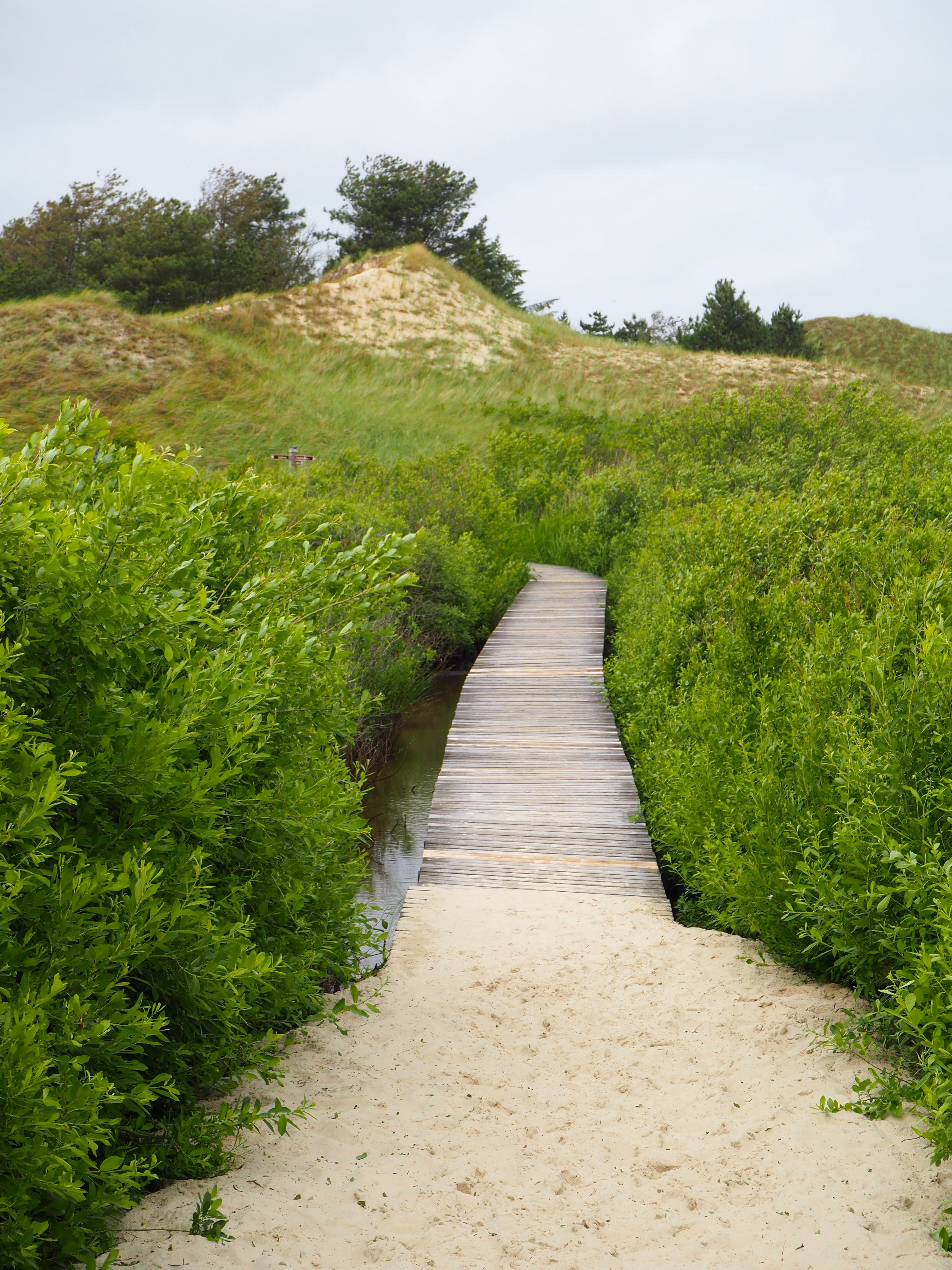 Amrum Nordsee Insel Urlaub Strand