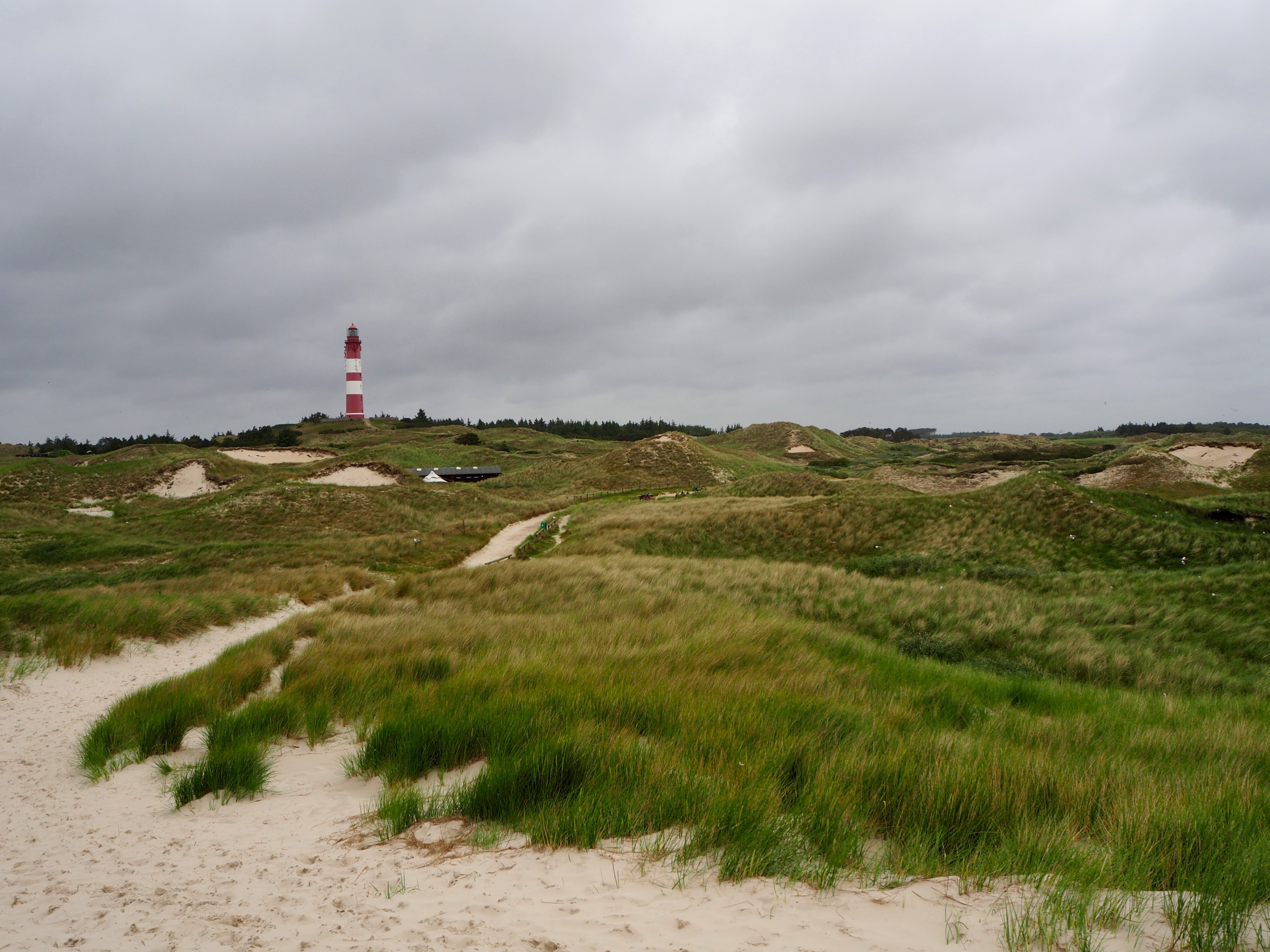Amrum Nordsee Insel Urlaub Strand