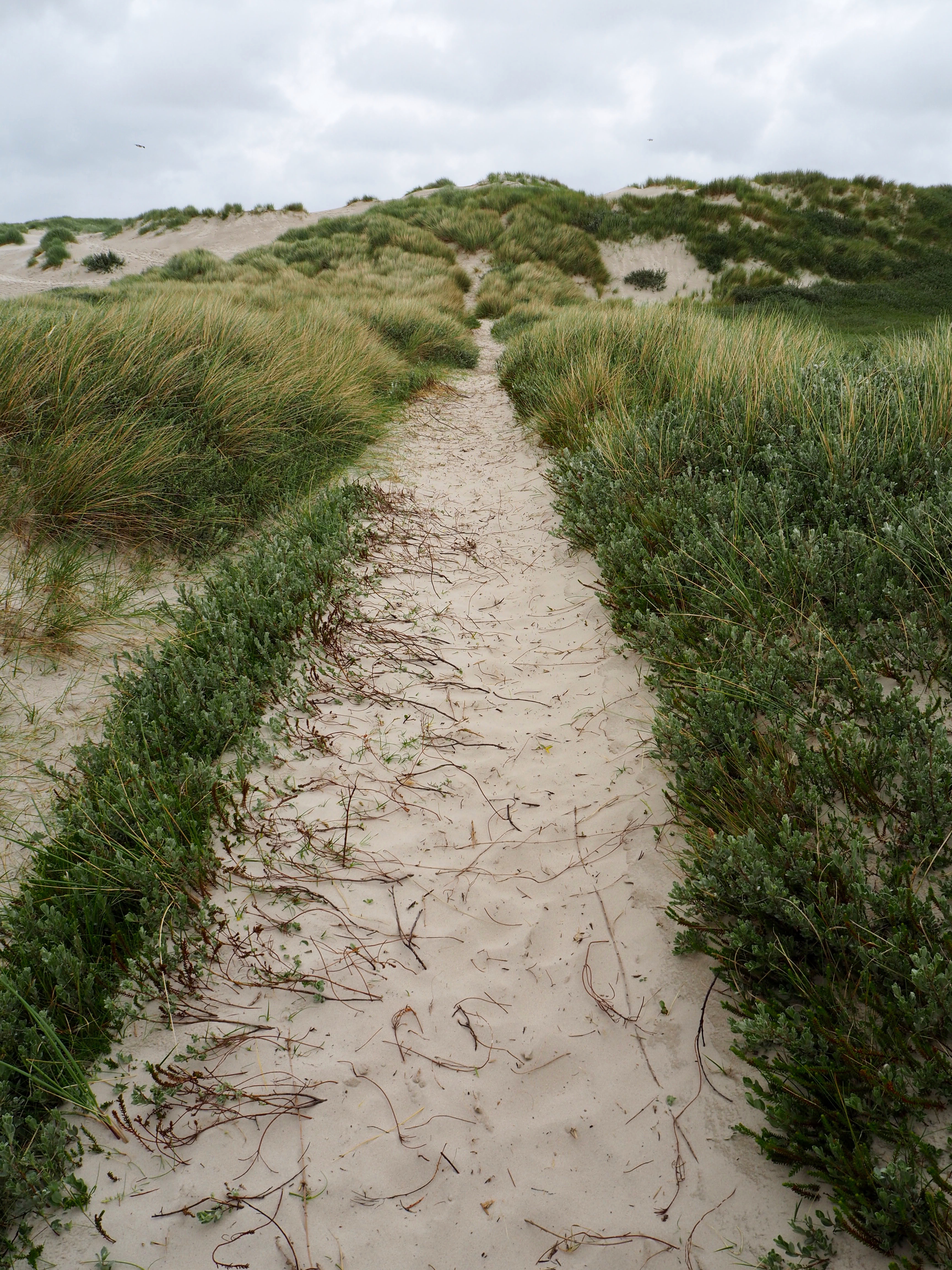 Amrum Nordsee Insel Urlaub Strand