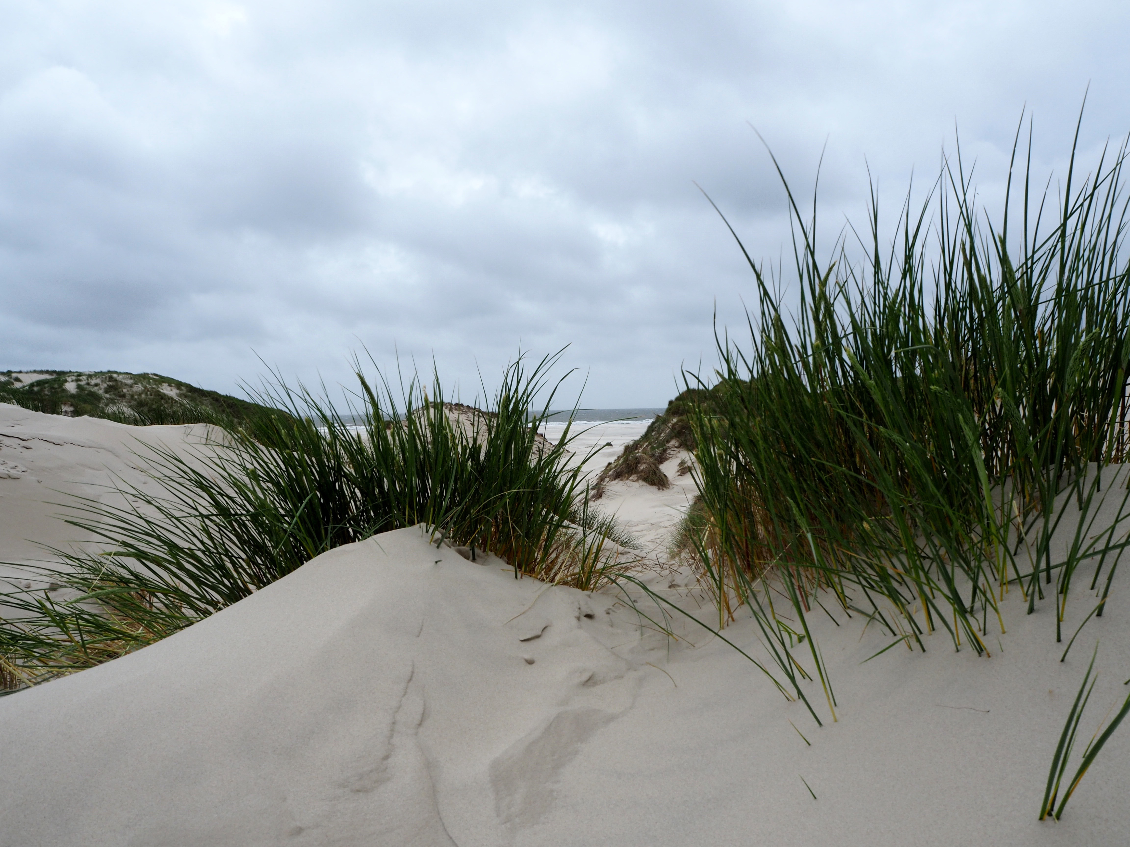 Amrum Nordsee Insel Urlaub Strand