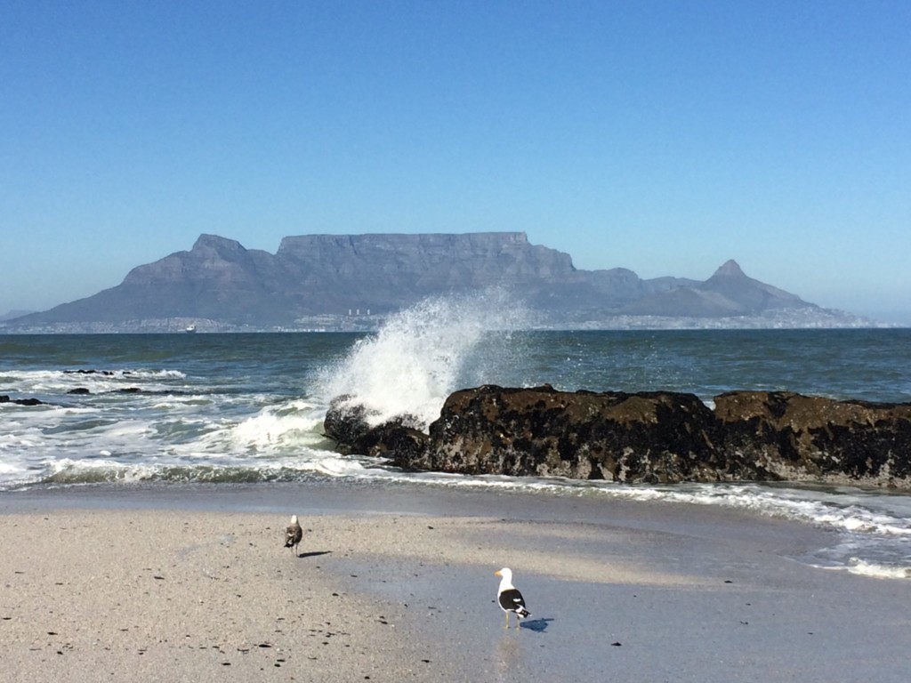 Kapstadt cape town südafrika south africa tafelberg reisen mit kindern familienurlaub Tafelberg