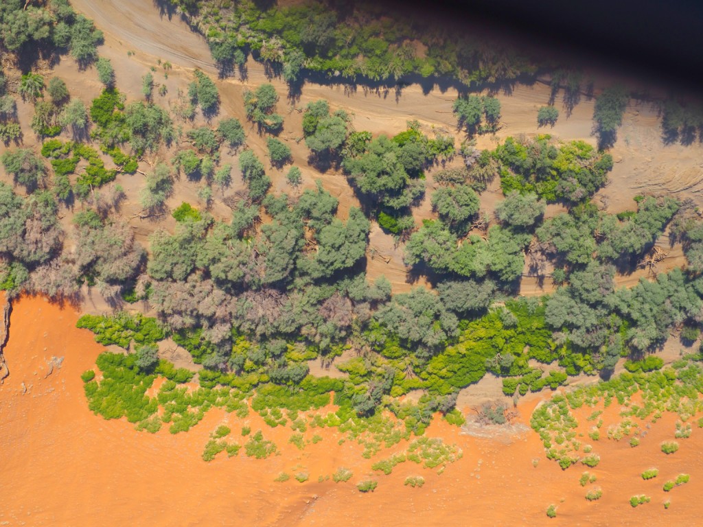 Flug Soussousfly Namibia Wüste Scenic flight bush birds Swakopmund