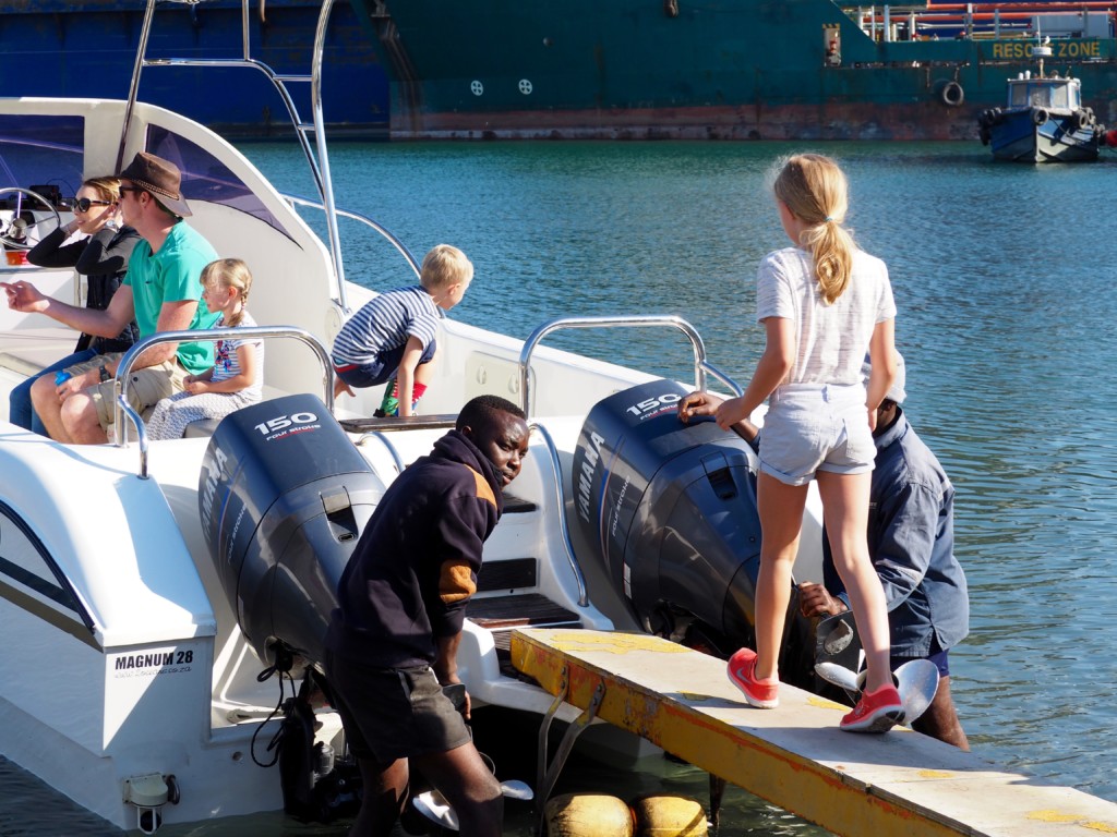 Pelikan, Robbe und Delfin Tour Walvisvay Namibia