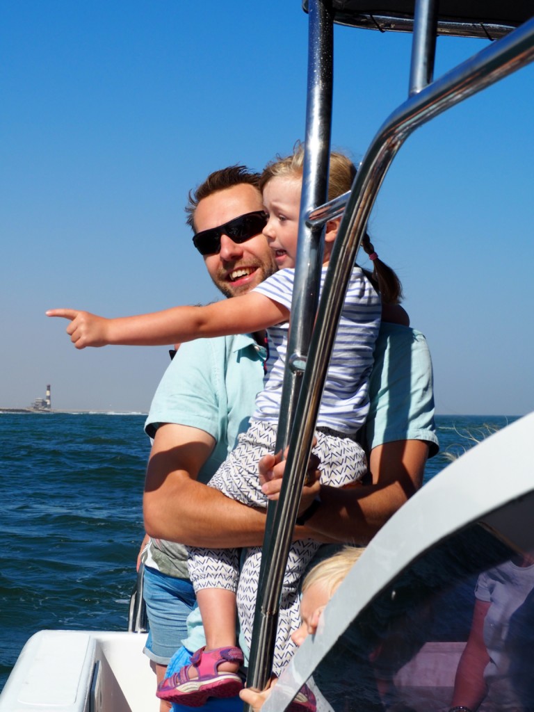 Pelikan, Robbe und Delfin Tour Walvisvay Namibia