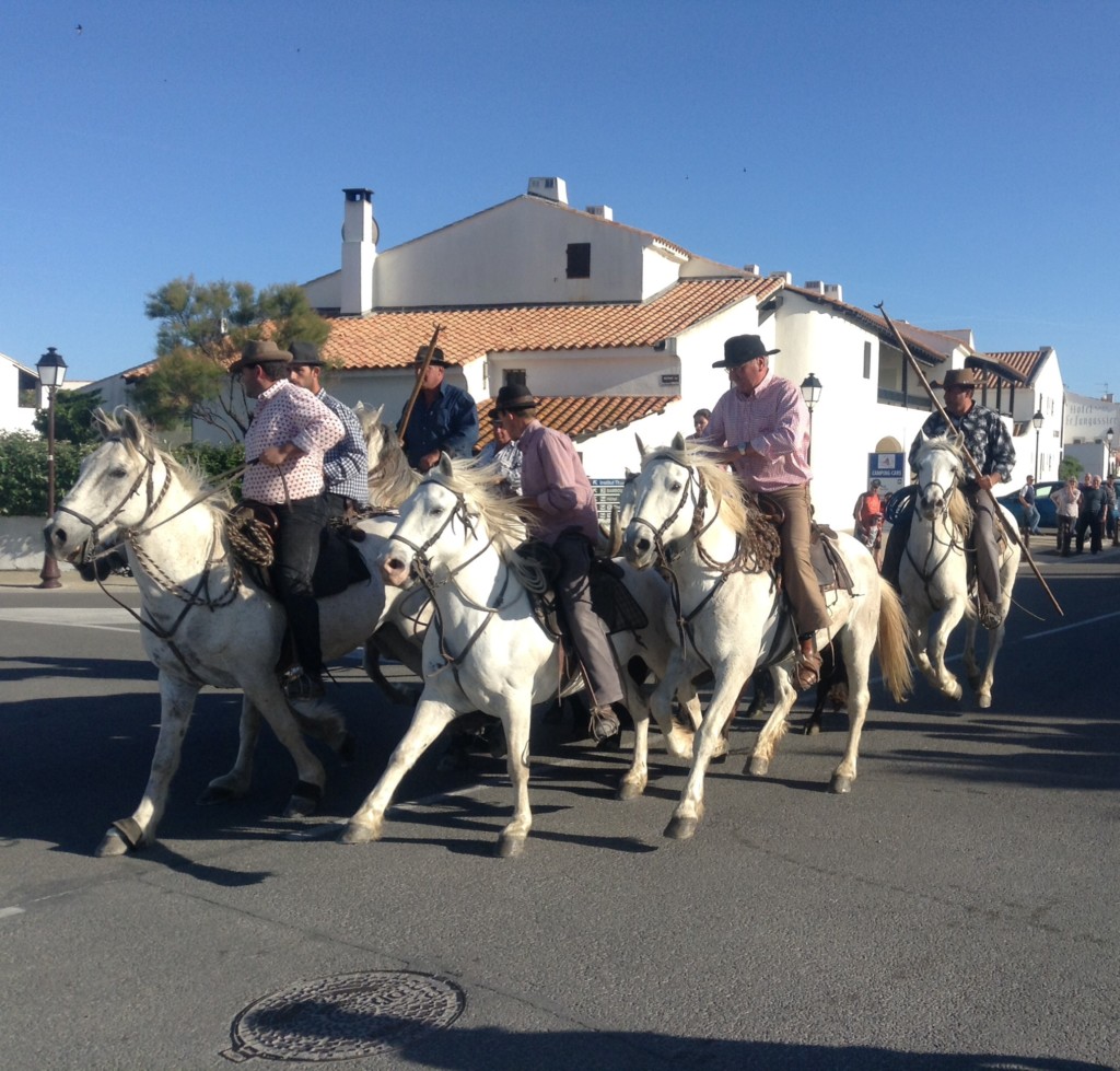 Frankreich Provence Camargue Stiere Manadiers Flusskreuzfahrt A-Rosa