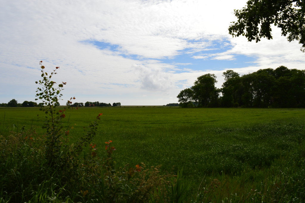 Niedersachsen Nordsee 