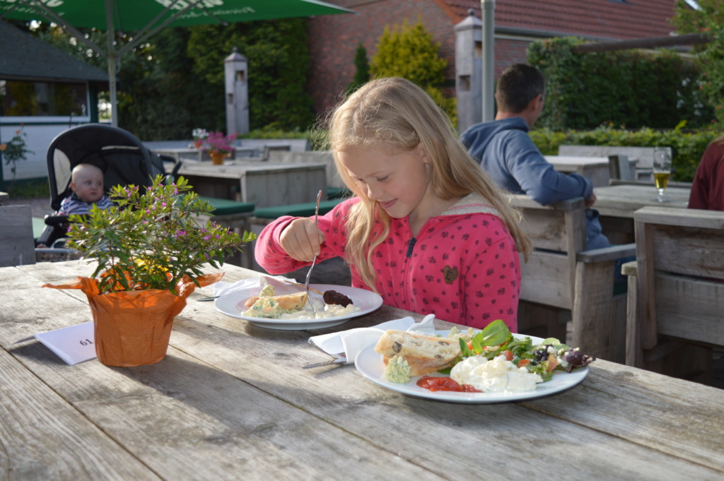 Nordsee Niedersachsen Familotel Friesland-Stern Haflinger Friesen Wangerland Horum Familienurlaub Reiten Appartments Spielplatz 