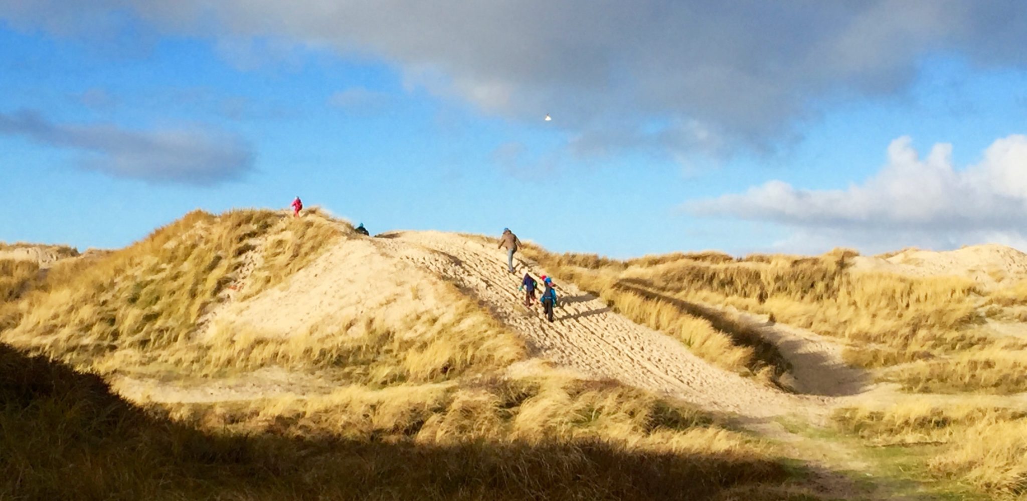 Dänemark Familienurlaub Strand Dünen wandern Sonne Meer Nordsee