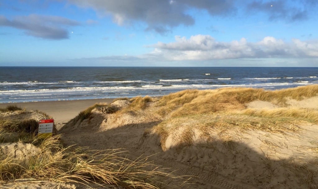 Dänemark Familienurlaub Strand Dünen wandern Sonne Meer Nordsee