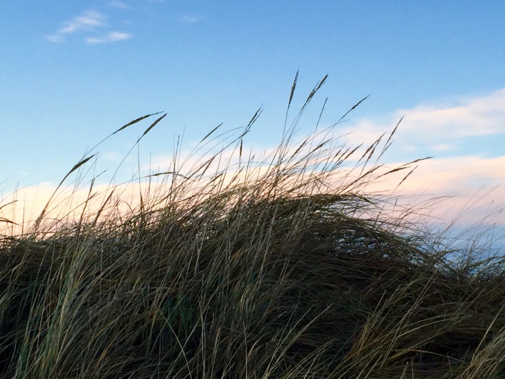 Dänemark Familienurlaub Strand Dünen wandern Sonne Meer Nordsee