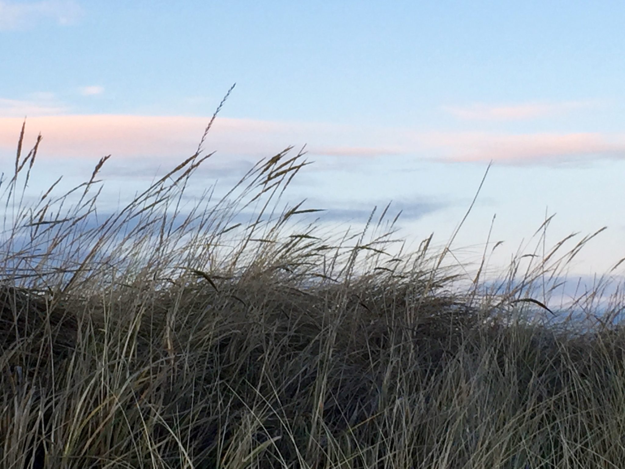 Dänemark Familienurlaub Strand Dünen wandern Sonne Meer Nordsee