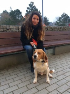 St. Peter-Ording Nordsee Hund Beagle Wochenende Tiersitter sorgenfrei pawshake
