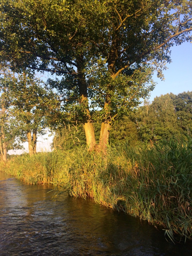 Kanu Stör Schleswig-Holstein Arpsdorf Willenscharen 
