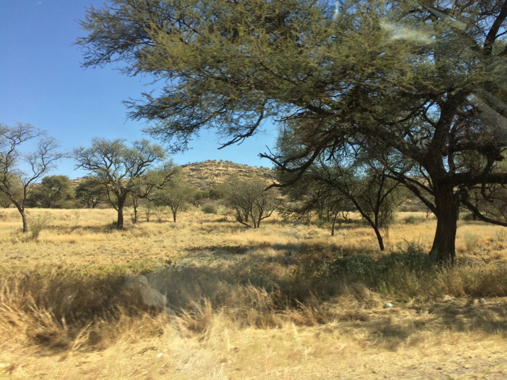 Windhoek nach Swakopmund Namibia Halbwüste