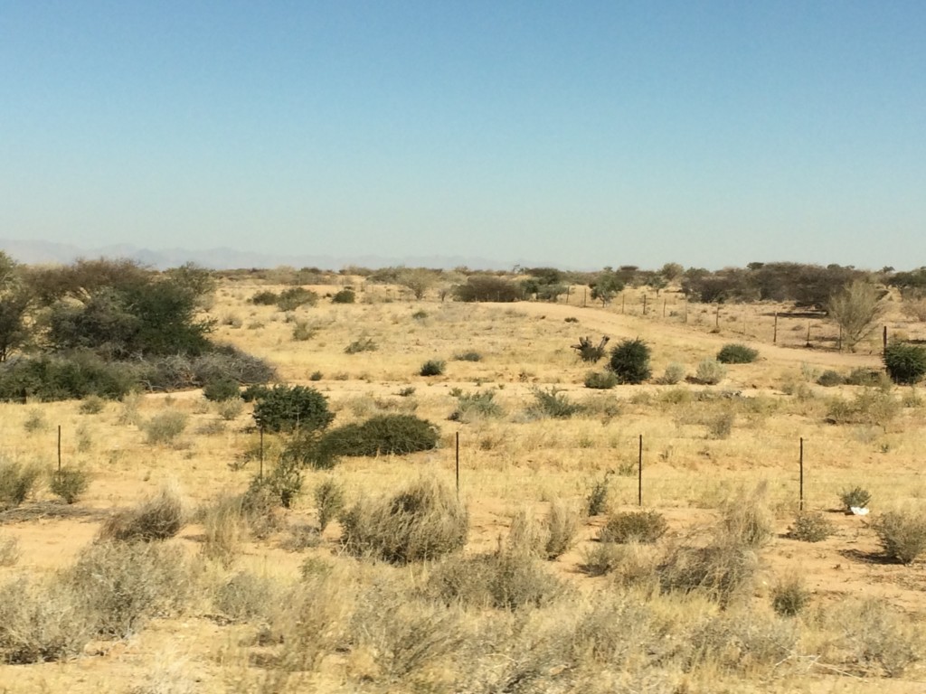 Windhoek nach Swakopmund Namibia Halbwüste