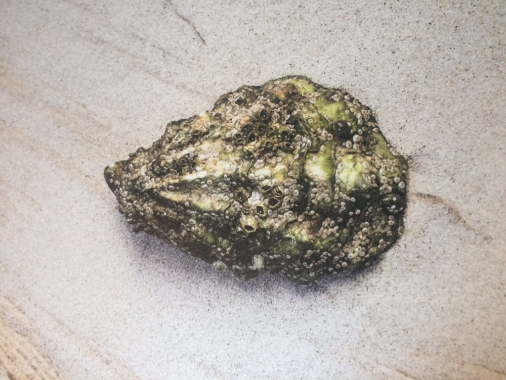 The Oyster King Cookbook