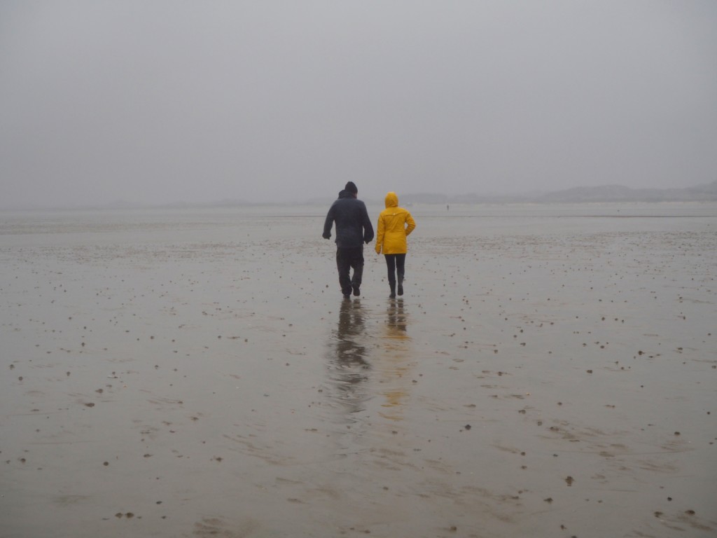 Fanø Jesper Voss Wattenmeer Strand Urlaub Robben Wattwandern 