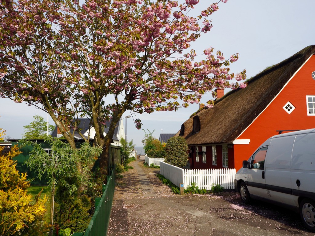 Dänemark Fanø Nordby Nordsee Urlaub Ferien Camping