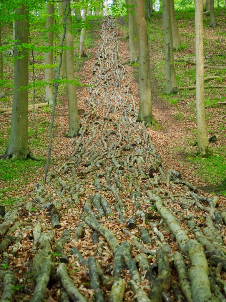 Tranekear Schloss Langeland Dänemark Kunst Natur Wald Tickon