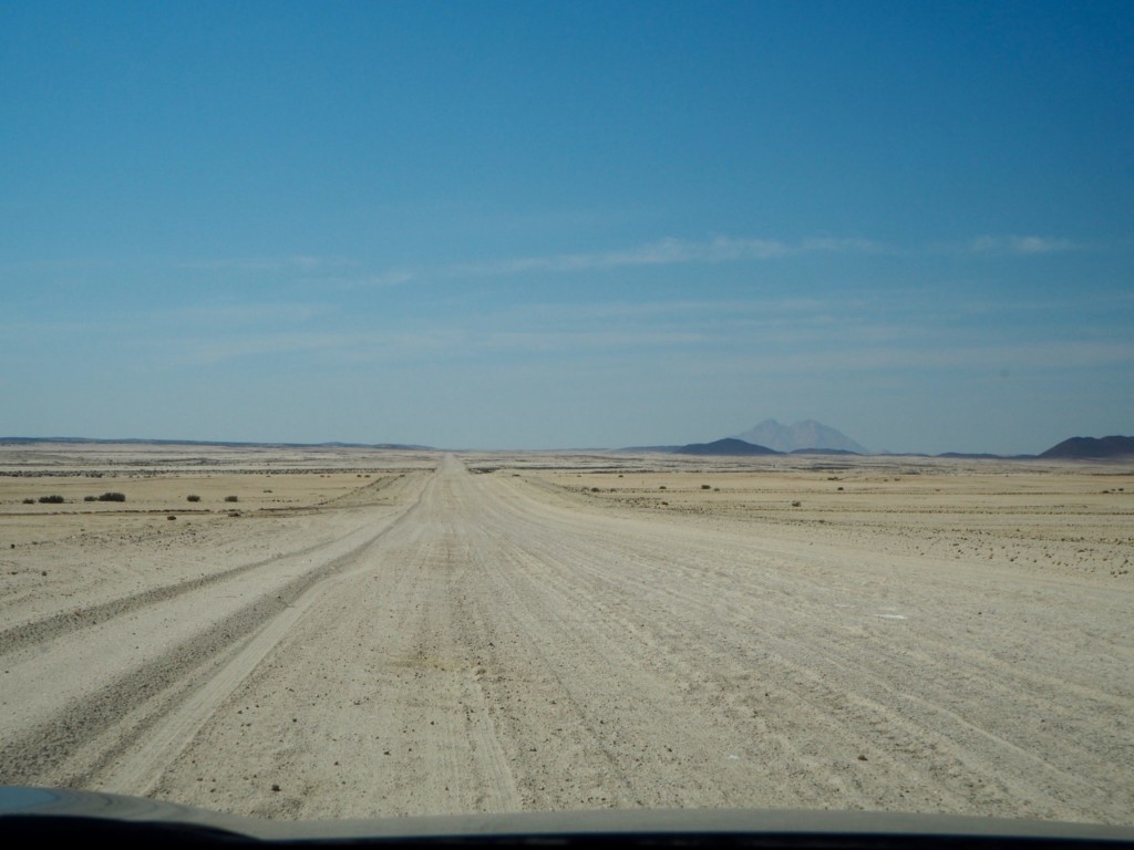 Handyhülle selbst gestalten Namibia