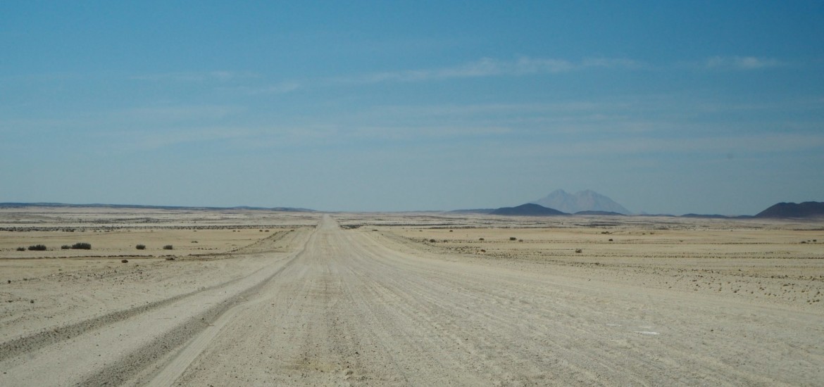 Handyhülle selbst gestalten Namibia