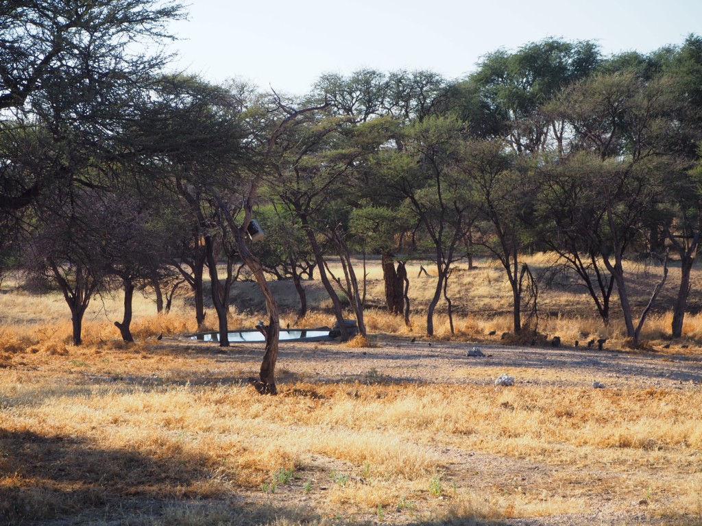 Namibia Omaruru Roidina Geheimtipp Unterkunft stilvoll wohnen