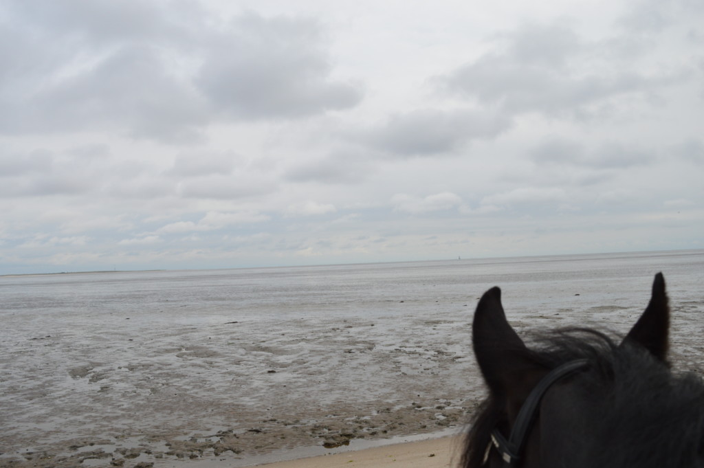 Nordsee Watt Reiten Familotel Friesland-Stern