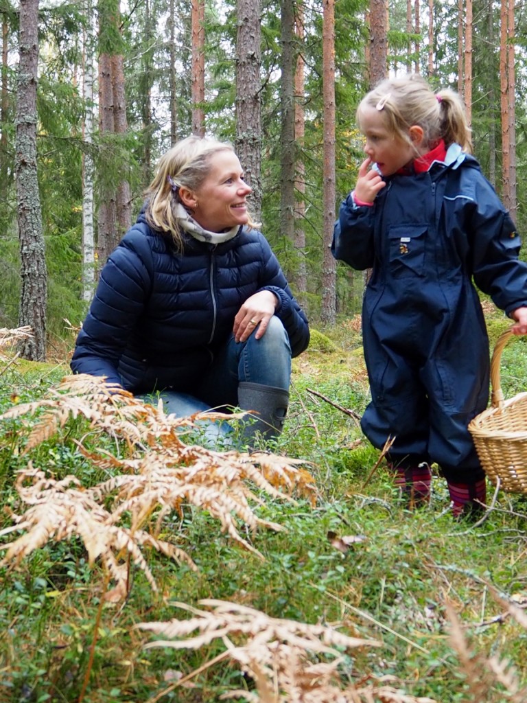 Pilze sammeln in Smaland Schweden Herbst Wald
