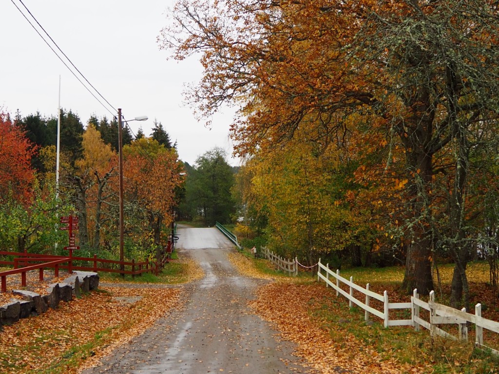 Pilze sammeln in Smaland Schweden Herbst Wald Tovfehult