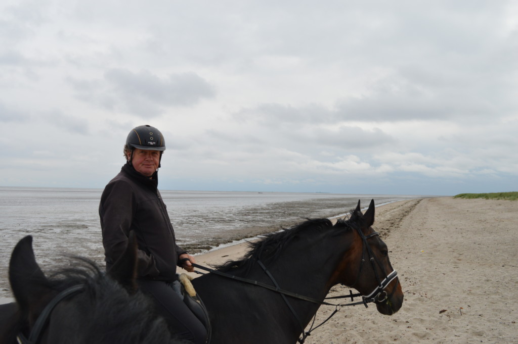 Nordsee Niedersachsen Familotel Friesland-Stern Haflinger Friesen Wangerland Horum Familienurlaub Reiten Appartments Wattritt Kreibohm