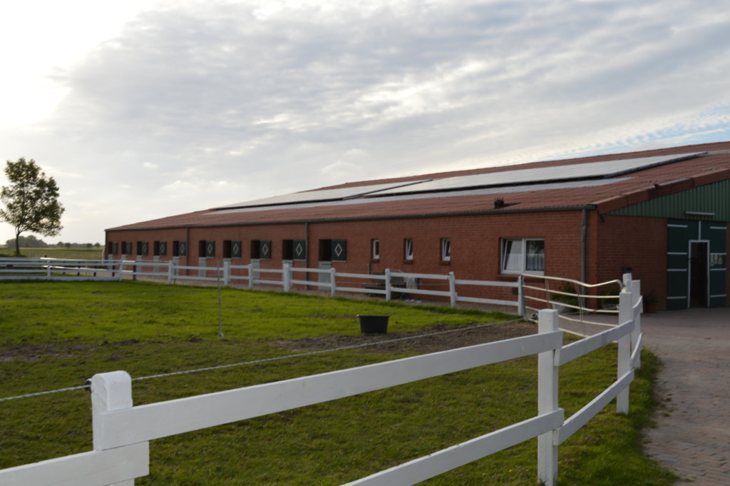 Nordsee Niedersachsen Familotel Friesland-Stern Haflinger Friesen Wangerland Horum Familienurlaub Reiten