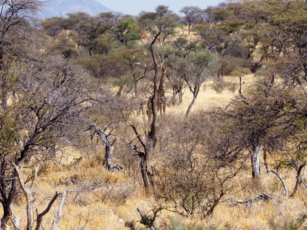 Namibia Omaruru Roidina Geheimtipp Unterkunft stilvoll wohnen