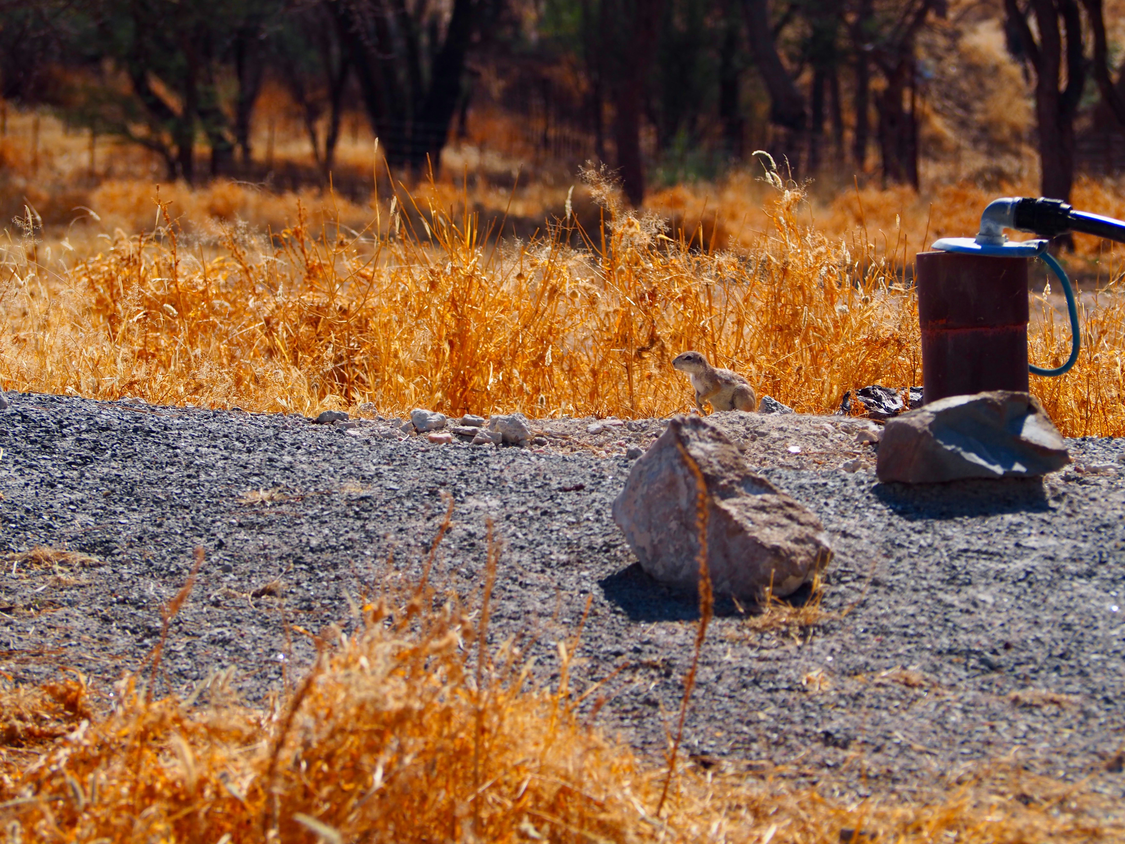 Namibia Omaruru Roidina Geheimtipp Unterkunft stilvoll wohnen