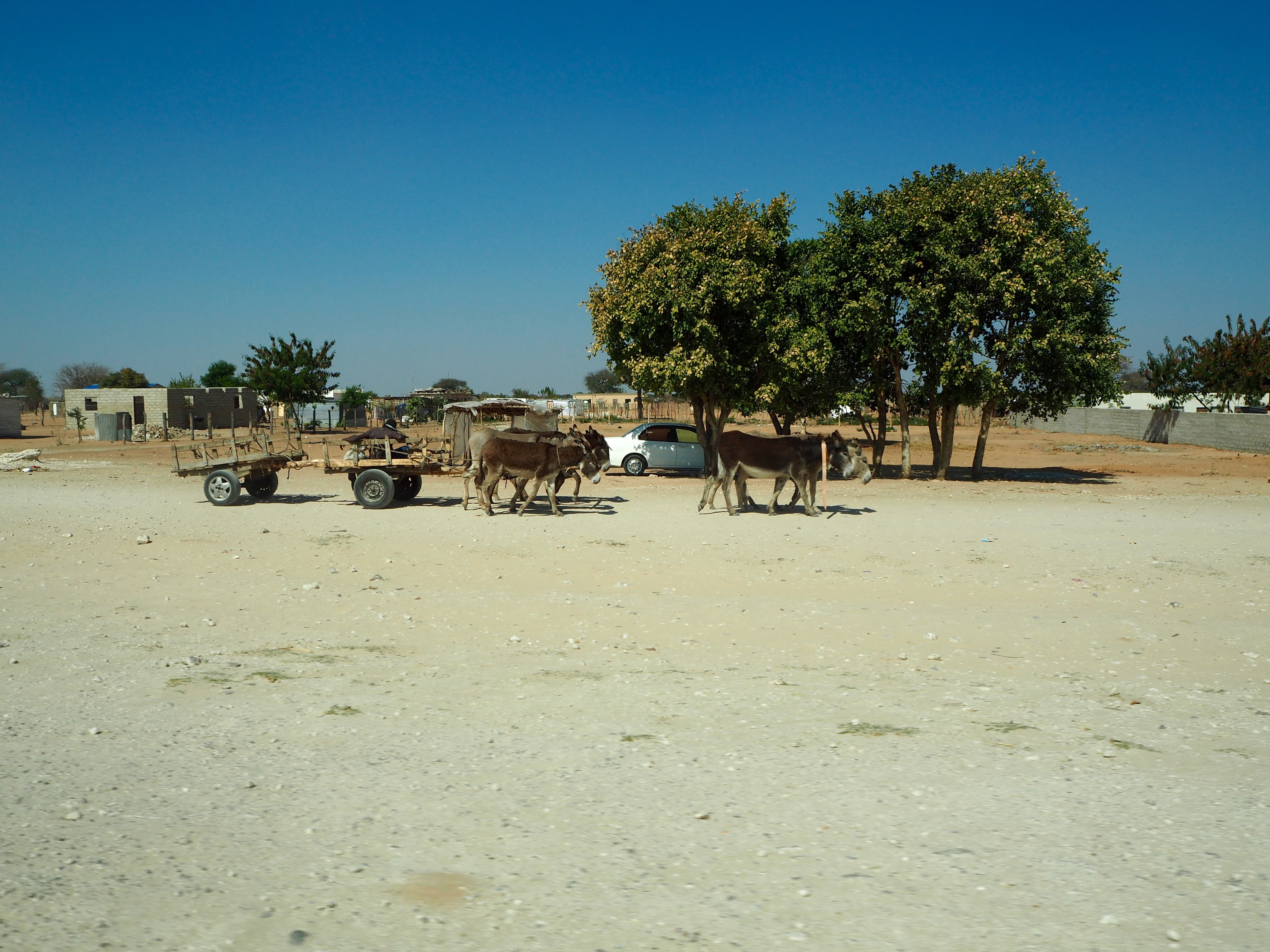 Namibia Rundu Rote Linie Afrikanisches Dorf