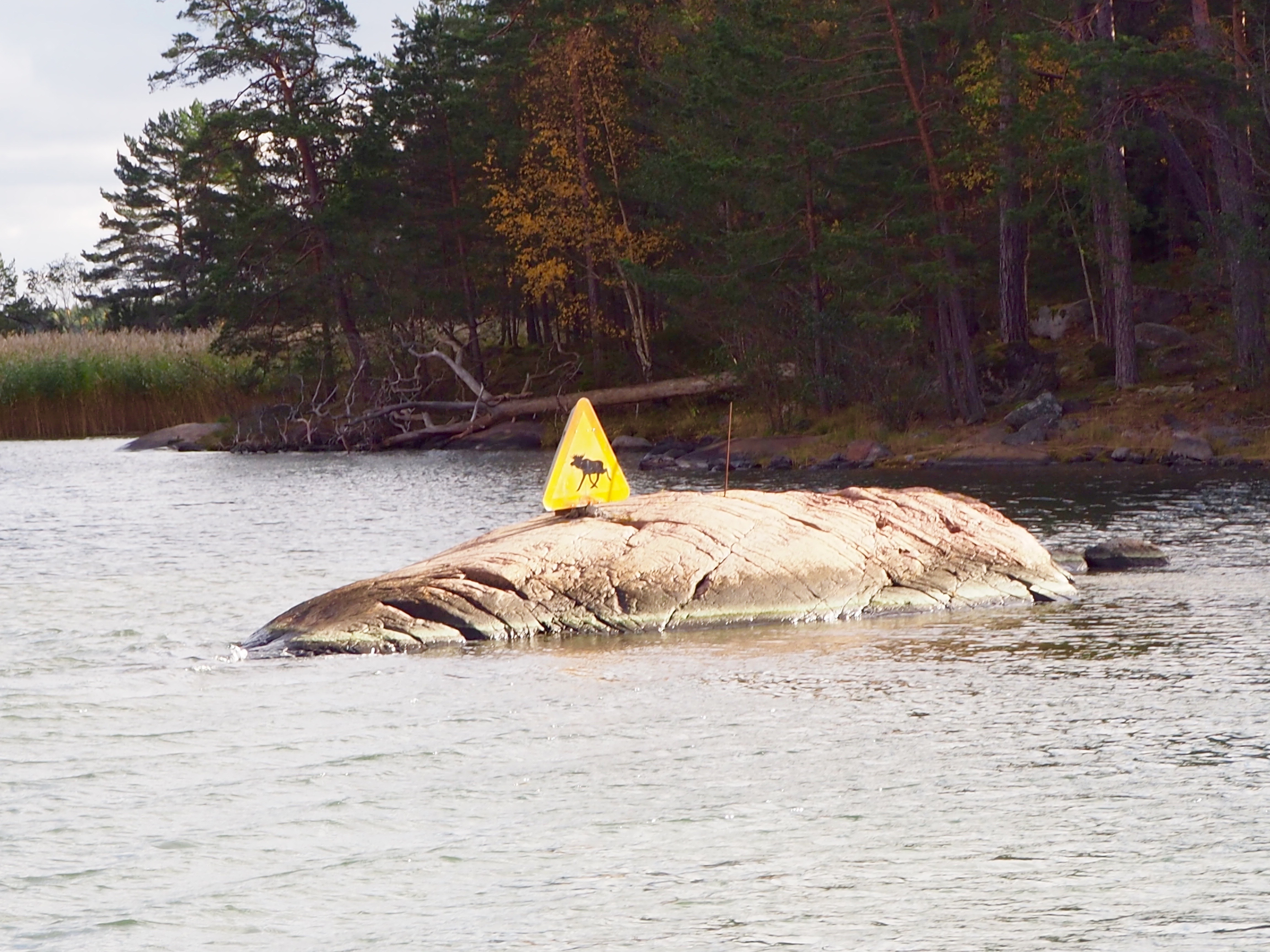 Smaland Schweden Elch Ostsee Västervik Schären Boot