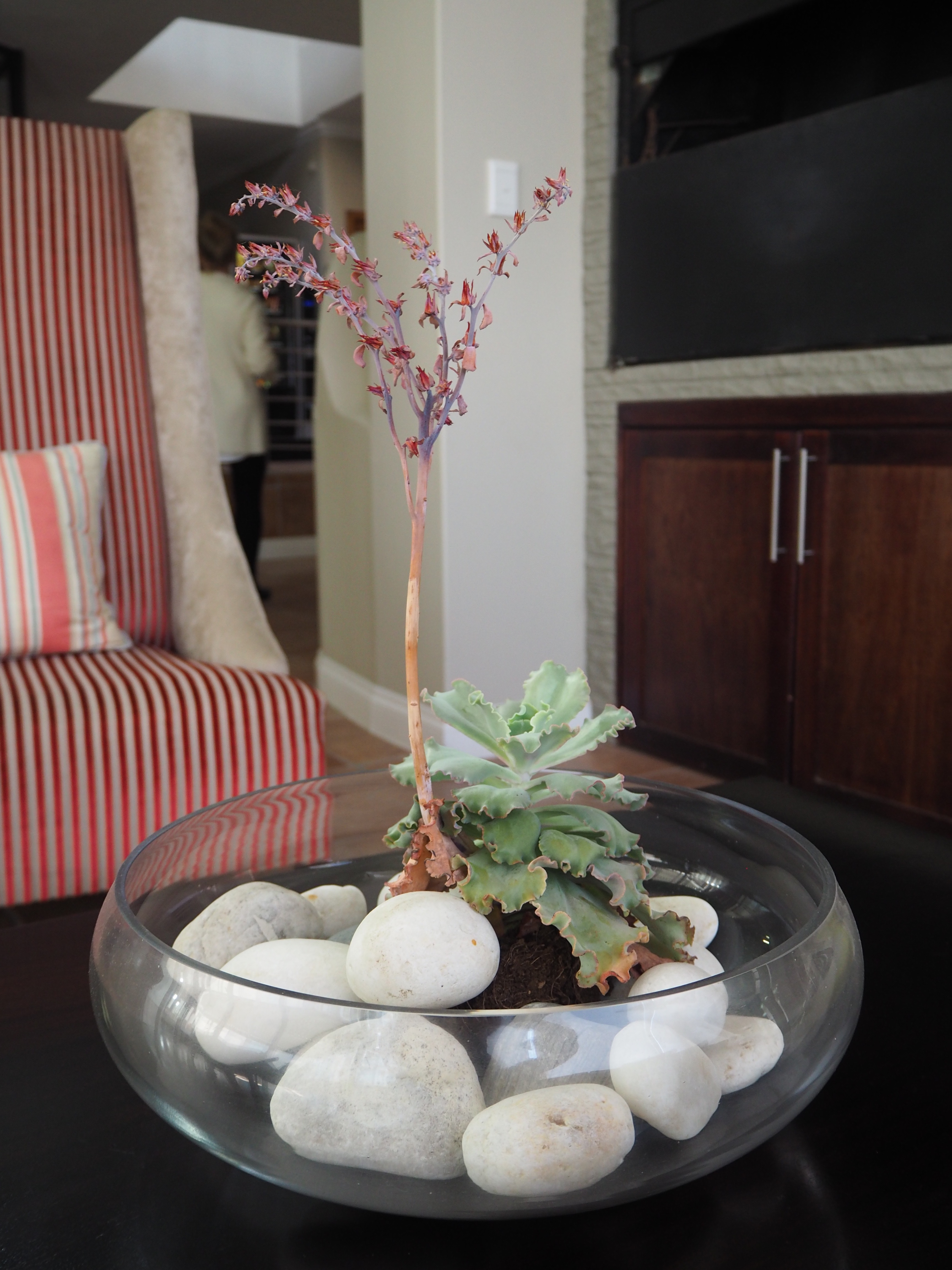 Namibia Swakopmund Hotel Atlantic Villa
